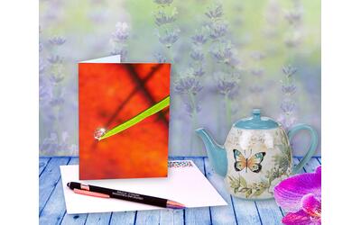 A single drop of dew rests on the tip of a blade of grass with red leaves behind it - Greeting card A single drop of dew rests on the tip of a blade of grass with red leaves behind it - Greeting card