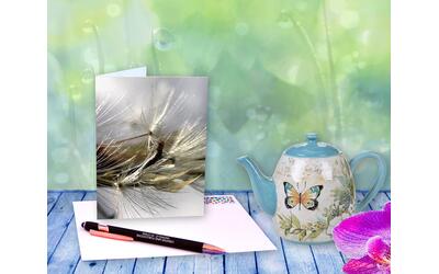 A dandelion poof shimmers in the summer sun in this soft, sensual, macro photograph. Greeting card with poem by The Poetry of Nature A dandelion poof shimmers in the summer sun in this soft, sensual, macro photograph. Greeting card with poem by The Poetry of Nature