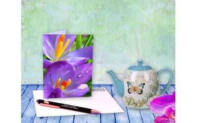 A dew covered crocus rejoices in the morning light in this beautiful, sensual, spring flower photo. Greeting card with poem by The Poetry of Nature A dew covered crocus rejoices in the morning light in this beautiful, sensual, spring flower photo. Greeting card with poem by The Poetry of Nature