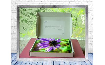 The Poetry of nature I - Colorful, botanical, greeting card collection by The Poetry of Nature, Stories in nature photo cards with poems. Boxed Set Baker's Dozen The Poetry of nature I - Colorful, botanical, greeting card collection by The Poetry of Nature, Stories in nature photo cards with poems. Boxed Set Baker's Dozen