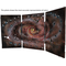 galaxy Arp 273 free-standing triptych copper enamel for home or office