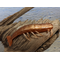 Shrimp lure in Copper by MasterBait Co