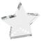 Silver/clear star award