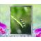 Drops of water on a blade of grass reflect the world around them in this stunning, soothing, nature photo with poem-Garden Drop by The Poetry of Nature