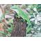 closeup of anole painting