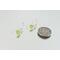 Tiny Chartreuse Fine Silver Earrings