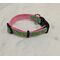 1 inch wide flamingo dog collar in sizes medium and largepi