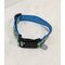 1 inch blue argyle dog collar