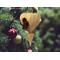 The wooden miniature Birdhouse Ornament is shaped like a heart. A small, dark-reddish-brown bird is perched on the front of the birdhouse. The heart-shaped structure has a pointed bottom that tapers down to a fine point. The wood is light beige.