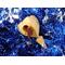 The wooden miniature Birdhouse Ornament is shaped like a heart. A small, dark-reddish-brown bird is perched on the front of the birdhouse. The heart-shaped structure has a pointed bottom that tapers down to a fine point. The wood is light beige.
