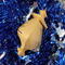 Handmade Wood Birdhouse Ornament Collectable Christmas Tree Ornament shapeed like a Christmas tree. Made from select-grade hardwoods, hand-sanded, and finished with a custom blend of oils and waxes using traditional woodworking tools.