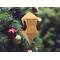 Handmade Wood Birdhouse Ornament Collectable Christmas Tree Ornament shapeed like a Christmas tree. Made from select-grade hardwoods, hand-sanded, and finished with a custom blend of oils and waxes using traditional woodworking tools.