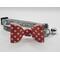 Red Bow with white polka dots on sparkly silver woven breakaway collar.