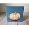 Photo of small square canvas painting of peach colored pumpkin with denim blue colored background