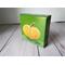 Photo of small square canvas painting of orange pumpkin with a olive green background
