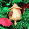 Birdhouse Christmas Tree Ornament Collectable