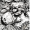 Photo of small drawing of rocks in black and white ink