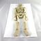 Halloween Skeleton Kit Handmade from Select Grade Hardwoods Unfinished Unpainted Paintable Ready to Paint Decoration