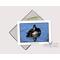 Ring-necked duck blank note card stationery on Goimagine.com