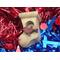 Birdhouse Christmas Tree Ornament, Handmade And Collectable Your Tree, Wreath, or Other Christmas Holiday Decoration