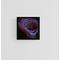 Example of Black Rose fine art print on blank wall with black frame.