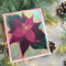 “Poinsettia