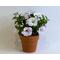 Petunia, white with purple streaks, in terra cotta pot, handcrafted crepe paper. 