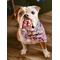 Adopt Me Dog Bandana Bundle For Adoption Event Custom Bulk Dog Scarf Packs Animal Rescues Neckwear Sets Shelter Puppy Foster Pet Mom Gift