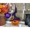 This image shows a Halloween witch decoration. It is made from a real dried gourd. Her name is Violet and has a purple witch hat. 