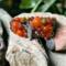 Glass and ceramic beads with two different leaf charms on a memory wire. Just beautiful!