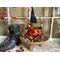 This image shows a fall table Halloween display. It is a pumpkin witch sitting in a wooden bowl surrounded by botanical bowl fillers. 