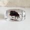 Resin Beetle Pendant for Jewelry or Keychain Making