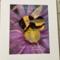 Bumblebee on a Flower, Matted
Medium: Digitally Hand Painted
Substrate: Professional Matte Paper
Print & Mat Only, Frame Not Included 
