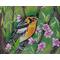 Blackburnian Warbler Bird Painting.