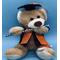 Plush Personalized Graduation Bear Class 2022. Honey tan bear with choice of school accent color. Artistic and creative grad gift  to remember 2021 for a lifetime.  Beauttifully created for all flutist. Check out our NO INSTRUMENT grad bears and our cute graduate beaes in face masks. Weve got you covered!