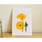pressed flower wall art, yellow poppy, 5x7 print