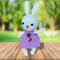 crochet bunny doll, plush toy, amigurumi plush bunny, handmade bunny, stuffed animal, mini bunny, easter bunny, gift for girls