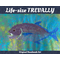 gyotaku art, gyotaku fish print, gyotaku fish, fish art prints, fish poster, Japanese fish art, fishermen, nautical wall art, trevally