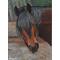 Horse Painting Closeup