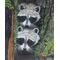 Raccoons Painting
