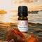 Beautiful beach sunset illuminating a bottle of Whole Self Aromatherapy's Beach Vibes Essential Oil Blend and conch shells in the foreground