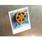 front view of a gold miniature movie reel magnet holding up a polaroid picture on fridge