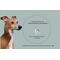 Image with an Italian Greyhound on the right. Information states neck circumference for this dog scarf is 8-10 inches.