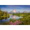 Oxbow Bend in Grand Teton National Park. Mount Moran rising above the snake river, showing a beautiful reflection in the water, with wildflowers in the foreground