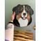 Bernese Mountain Dog Suncatcher being held for size reference.
