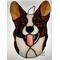 Brindle and White Cardigan Corgi.