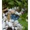 Miniature Fairy Garden Pond, Fairy Pond, Miniature Pond, Fairy Garden Accessory, Miniature Terrarium Pond, Terrarium Pond, Wee Fairy Pond, Terrarium Miniature Pond, Baby Pond for garden, gifts for her, Fairy accessory, Miniature garden pond, wee item