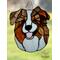 Red merle in direct sunlight