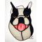 Boston Terrier puppy on light box.