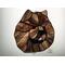Cinnamon Chow on light box.